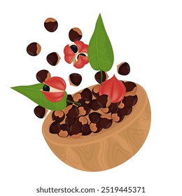 Ilustración vectorial Logo Clipart Levitación Antioxidante Superfood Guaraná Semillas 