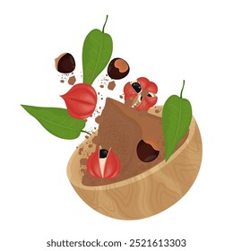 Ilustración vectorial Logo Clipart Levitación Superfood Guaraná frutas con polvo de guaraná