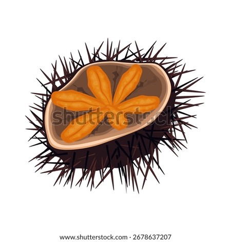 Vector Illustration Logo Clipart Raw Sea urchins 