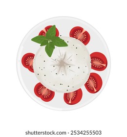 Vetor ilustração logotipo Clipart Vista superior Burrata com tomates e manjericão