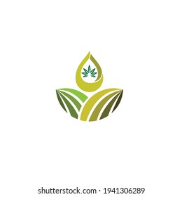 ilustración vectorial. logo con el concepto de aceite de marihuana de cáñamo de la plantación misma. médico y farmacéutico