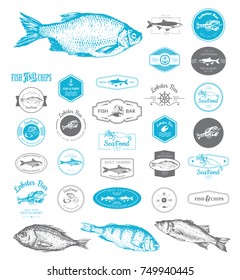 Vector Illustration with logo for fish restaurant or fish market. Logo set for fish restaurant or bar with a picture of the fish. Blue sings on white background.