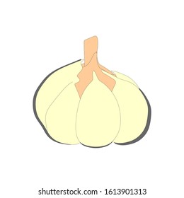 Vector illustration of logo for garlic
