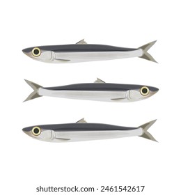 Vector Illustration logo Isolated Fresh anchovies 