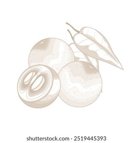 Vektorgrafik Logo Linie Kunst Superfood Camu Camu Beerenfrüchte
