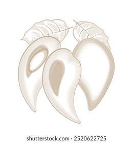 Ilustración vectorial Logo arte de línea Canistel Fruta o Pouteria lucuma