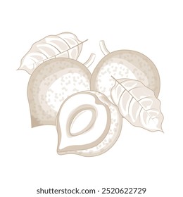 Vector Illustration Logo line art Whole and Half Canistel Fruit or Pouteria lucuma 