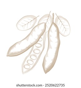 Ilustração de vetor Logotipo Arte de linha Superfood Pods de alfarroba 