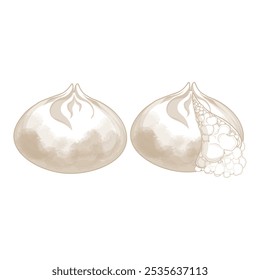 Ilustração de vetor Logotipo de arte Queijo Burrata italiano