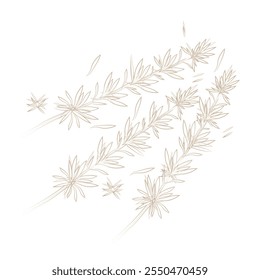 Vector Illustration Logo line art Fresh Hijiki seaweed 
