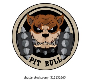 Vector illustration Logo pit bull  head