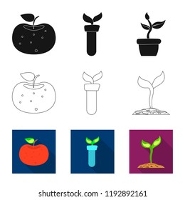 Vector illustration of  and  logo. Set of  and  stock vector illustration.