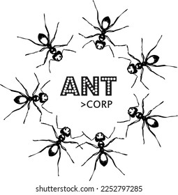 Vector illustration logo symbol Ant animals corp isolated on white background