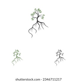 vector illustration logo and symbol of Mangrove trees and mangrove Forest Ecology