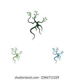 vector illustration logo and symbol of Mangrove trees and mangrove Forest Ecology