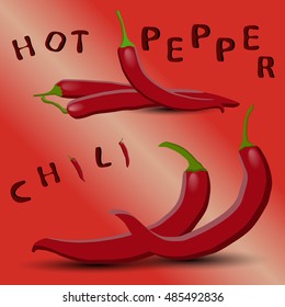 Vector illustration logo whole ripe vegetable red hot chili pepper, green stem, cut sliced background. Chili pattern consisting of tag label, Pepper hots food. Eat fresh chilis peppers on health.