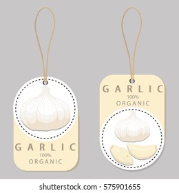 Vector illustration logo for whole ripe vegetable bitter white garlic, chopped foods sliced on background.Garlic pattern consisting of label bittersweet taste food.Eat fresh bitters garlics on health