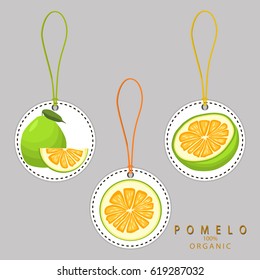 Vector illustration logo for whole ripe fruit pomelo, green leaf, cut half citrus sliced. Pomelo pattern consisting of tag label, natural exotic citrus food. Eat fresh raw green fruit citrus pomelo.