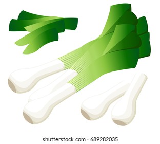 Vector illustration logo for whole ripe vegetable bitter onion,with green stem,cut sliced,close-up background.Onion drawing pattern consisting of tag label bow,bittersweet taste food.Eat fresh onions