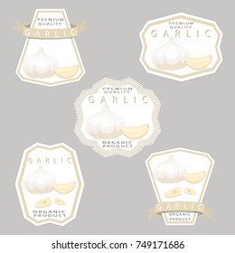 Vector illustration logo for whole ripe vegetable bitter white garlic, chopped foods sliced on background.Garlic pattern consisting of label bittersweet taste food.Eat fresh bitters garlics on health