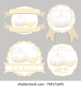 Vector illustration logo for whole ripe vegetable bitter white garlic, chopped foods sliced on background.Garlic pattern consisting of label bittersweet taste food.Eat fresh bitters garlics on health