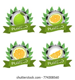 Vector illustration logo for whole ripe fruit pomelo, green leaf, cut half citrus sliced. Pomelo pattern consisting of tag label, natural exotic citrus food. Eat fresh raw green fruit citrus pomelo.