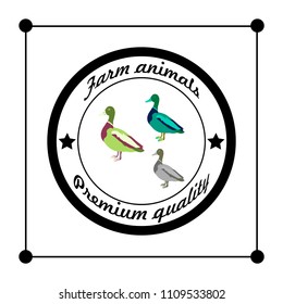 Vector Illustration logos and badges farm animals wild duck