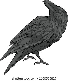 a vector illustration of the lonely crow