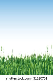 Vector illustration of long grass against blue sky with copy space