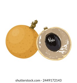 Ilustración vectorial, fruta larga entera y por la mitad, aislada sobre un fondo blanco.
