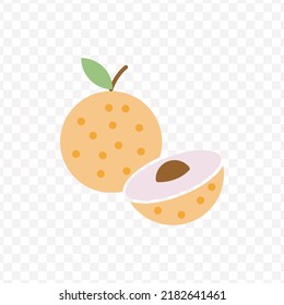 Vector illustration of Longan icon sign and symbol. colored icons for website design .Simple design on transparent background (PNG).