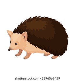 Vector illustration of long-eared hedgehog isolated on white background. Clip art is suitable for book illustrations, educational materials for children, children's prints