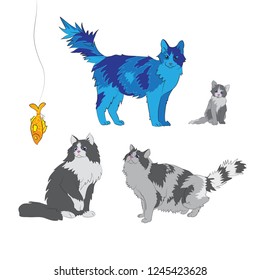 Vector illustration of long-haired cats. Fluffy pets. Cats looking at the fish. Collection of cats for design. Cat Set, flat icons. Vector Illustration Cartoon