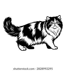 vector illustration long 