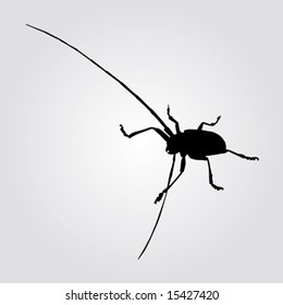 vector illustration of a long-horned beetle