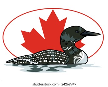 vector illustration of a loon in front of a Canadian maple leaf... background contained in clipping mask