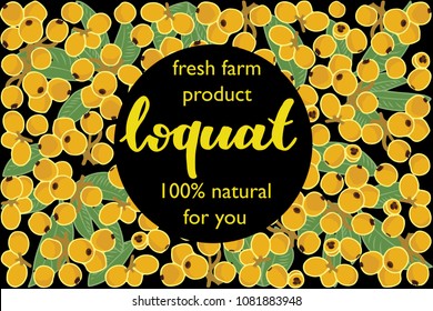 vector illustration of loquat and leaf design with lettering loquat background black and fruit and text fresh farm product 100% natural EPS10
