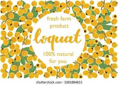vector illustration of loquat and leaf design with lettering loquat background white and fruit and text fresh farm product 100% natural EPS10