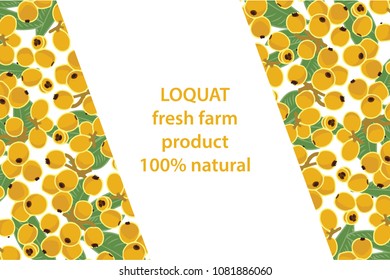 vector illustration of loquat and leaf design background white and fruit and text fresh farm product 100% natural EPS10