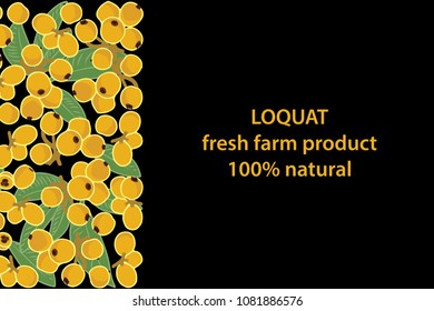 vector illustration of loquat and leaf design background black and fruit and text fresh farm product 100% natural EPS10