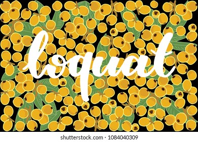 vector illustration of loquat and leaf design with lettering loquat background black and fruit EPS10
