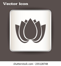 Vector illustration lotus 