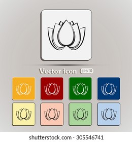 Vector illustration lotus 