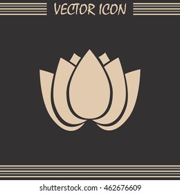 Vector illustration lotus 