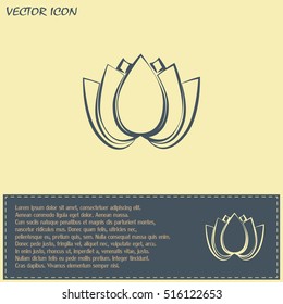 Vector illustration lotus 