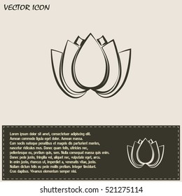 Vector illustration lotus 