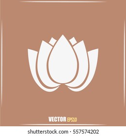 Vector illustration lotus 