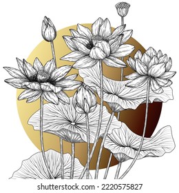 Vector illustration of lotus bush in engraving style