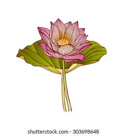 vector illustration of lotus flower