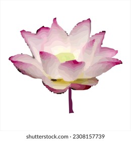 Vector illustration of a lotus flower as a design element